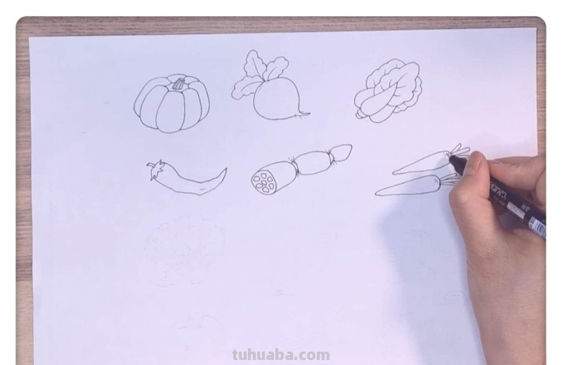 三分钟学会的卡通简笔画：蔬菜