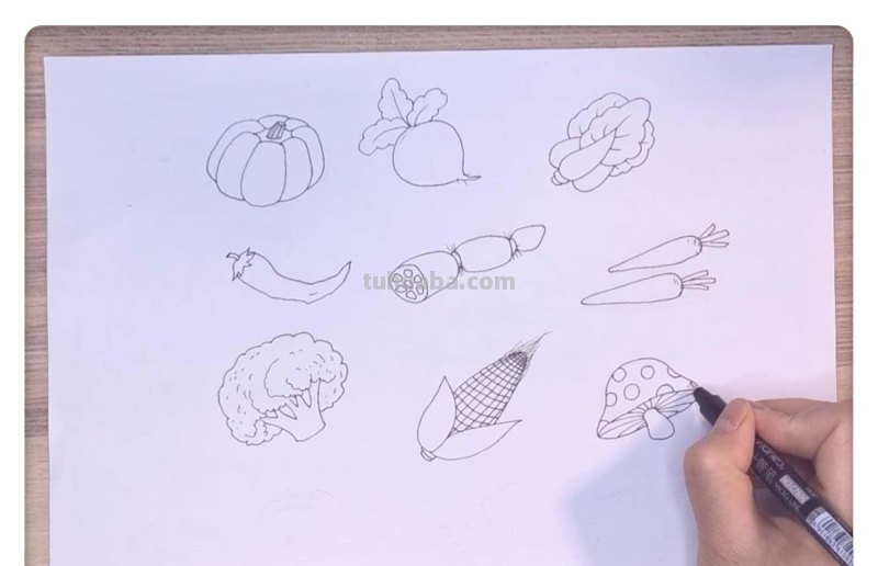 三分钟学会的卡通简笔画：蔬菜