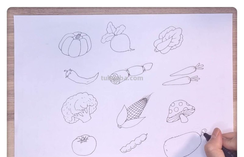 三分钟学会的卡通简笔画：蔬菜