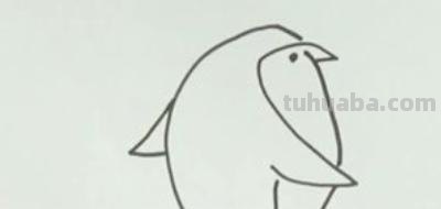 企鹅怎么画简笔画图片(企鹅怎么画简笔画图片大全大图) 企鹅怎么画简笔画图片(企鹅怎么画简笔画图片大全大图)