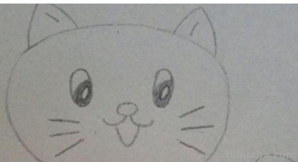 不用彩铅怎么画猫(不用彩铅怎么画猫咪) 不用彩铅怎么画猫(不用彩铅怎么画猫咪)