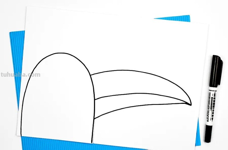 儿童画教程｜趣味色彩艺术课程《世界上嘴巴最大的鸟》