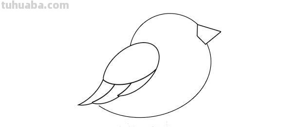 每天学一幅简笔画-卡通小鸟简笔画画法步骤图片
