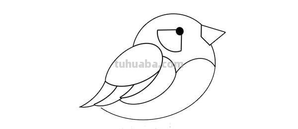 每天学一幅简笔画-卡通小鸟简笔画画法步骤图片