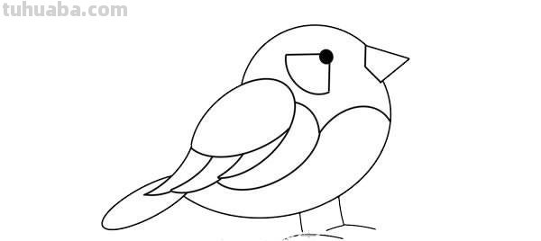 每天学一幅简笔画-卡通小鸟简笔画画法步骤图片