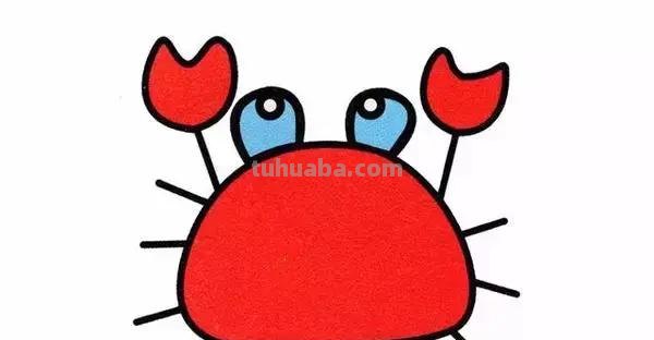 儿童简笔画—10种海洋生物详细教程,还有颜色喔~ 儿童简笔画—10种海洋生物详细教程,还有颜色喔~