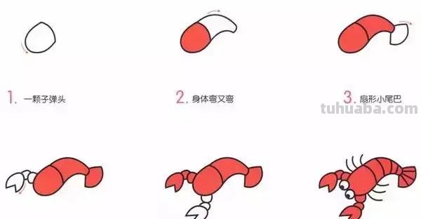 儿童简笔画—10种海洋生物详细教程,还有颜色喔~ 儿童简笔画—10种海洋生物详细教程,还有颜色喔~