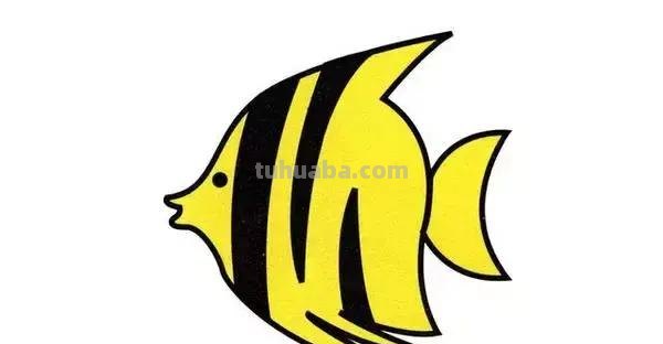 儿童简笔画—10种海洋生物详细教程,还有颜色喔~ 儿童简笔画—10种海洋生物详细教程,还有颜色喔~