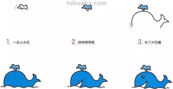 幼儿简笔画：10种海洋生物详细教程，还有颜色喔~