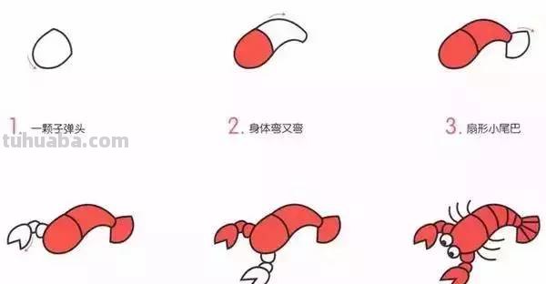 幼儿简笔画：10种海洋生物详细教程，还有颜色喔~