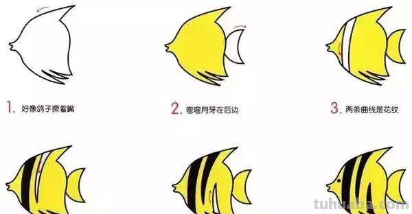 幼儿简笔画：10种海洋生物详细教程，还有颜色喔~