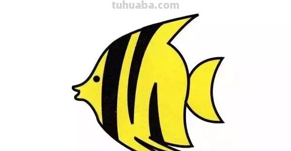 幼儿简笔画：10种海洋生物详细教程，还有颜色喔~