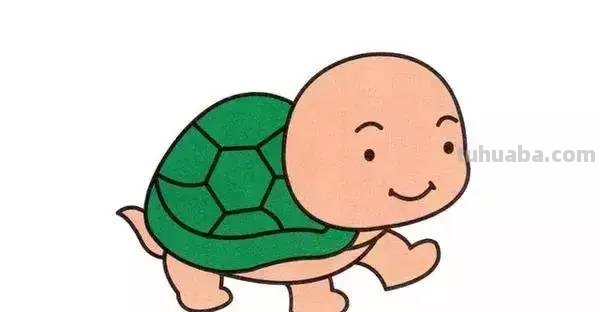 幼儿简笔画：10种海洋生物详细教程，还有颜色喔~