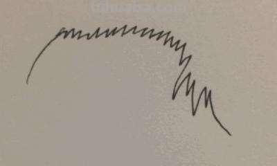 眼镜怎么画简笔画图片（）