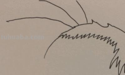 眼镜怎么画简笔画图片() 眼镜怎么画简笔画图片()
