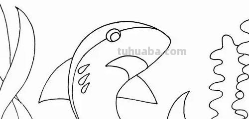 鲨鱼怎么画 彩铅颜色（鲨鱼怎么画 彩铅颜色好看）
