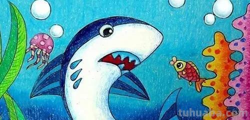 鲨鱼怎么画 彩铅颜色（鲨鱼怎么画 彩铅颜色好看）