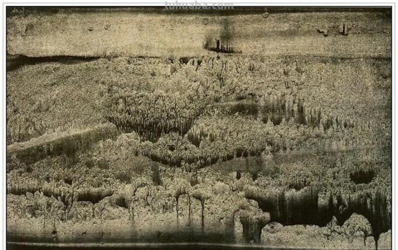 当代著名作家画家木心五十七幅传世经典绘画作品赏析