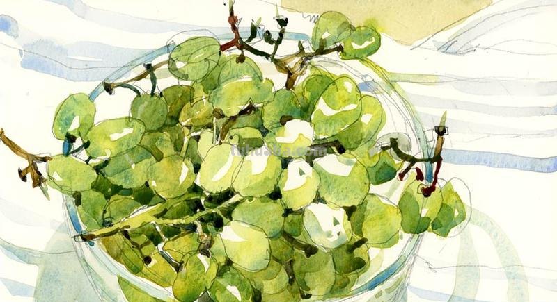 水彩画速写｜加拿大Shari Blaukopf 作品欣赏