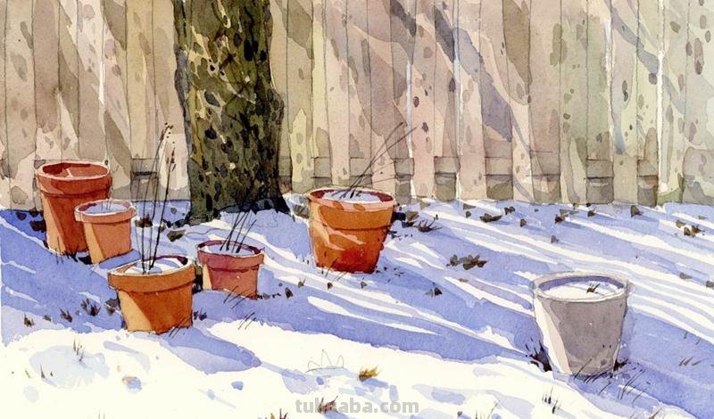 水彩画速写｜加拿大Shari Blaukopf 作品欣赏