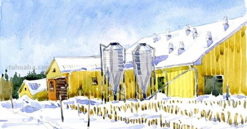 水彩画速写｜加拿大Shari Blaukopf 作品欣赏