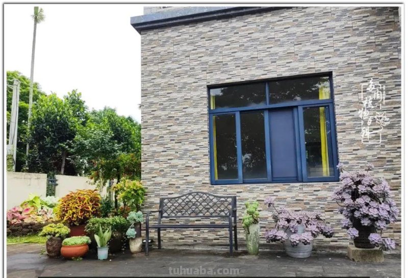 520盛宴：多肉，既是毒药，也是解药！