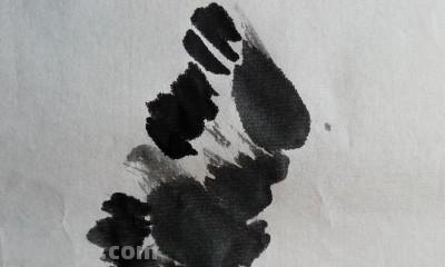怎么画彩铅国画小鸟（怎么画彩铅国画小鸟图片）