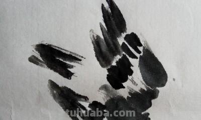 怎么画彩铅国画小鸟（怎么画彩铅国画小鸟图片）