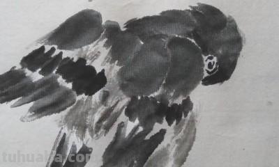 怎么画彩铅国画小鸟（怎么画彩铅国画小鸟图片）