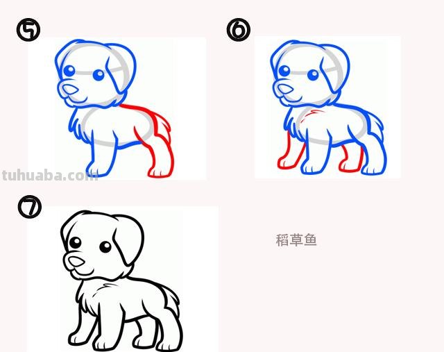简笔画边学边画 几款宠物狗画法 都是日常手帐手抄报用的得到的