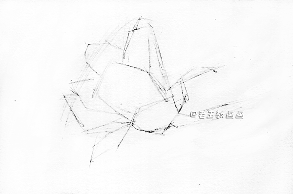 素描不难画，教你画一朵玉兰花