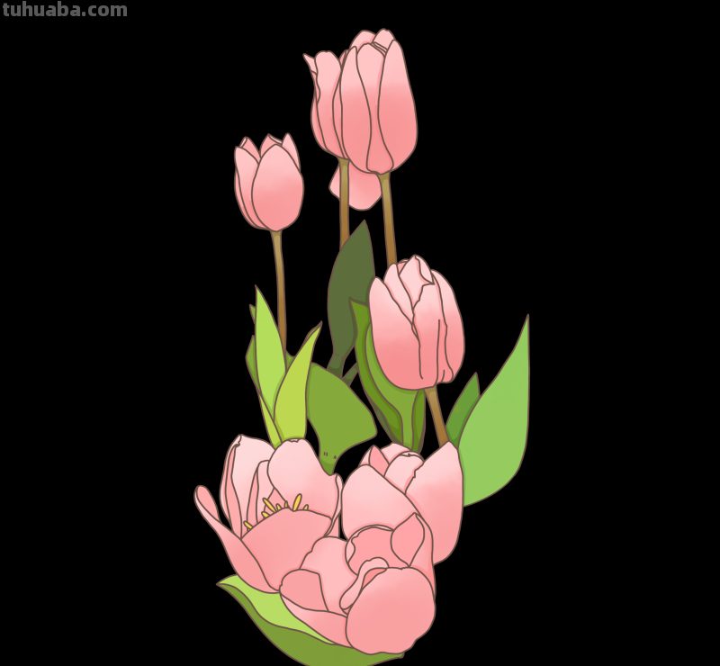 简笔画-春日花卉手绘图，配色超级好看！