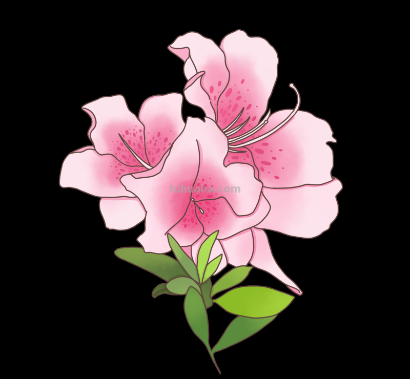 简笔画-春日花卉手绘图，配色超级好看！