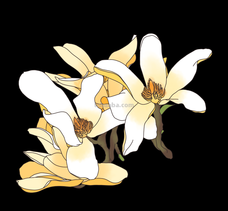 简笔画-春日花卉手绘图，配色超级好看！