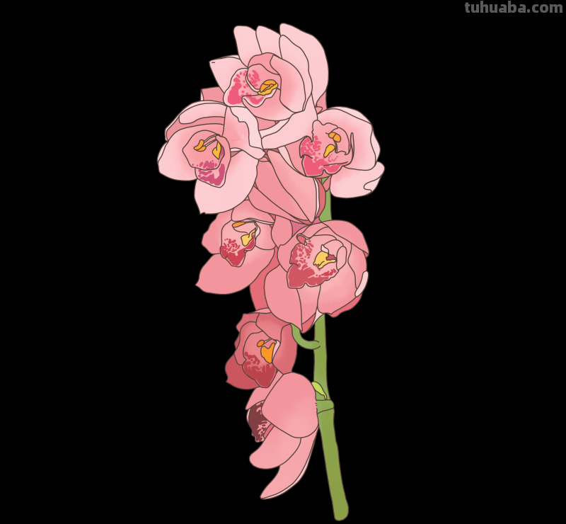 简笔画-春日花卉手绘图，配色超级好看！