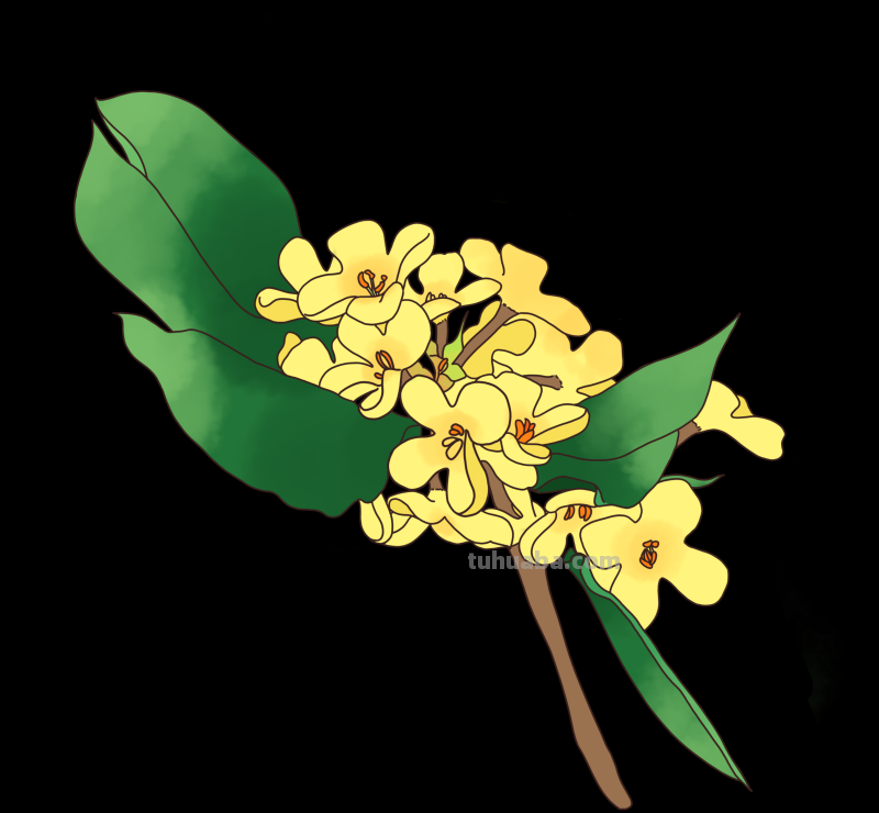 简笔画-春日花卉手绘图，配色超级好看！