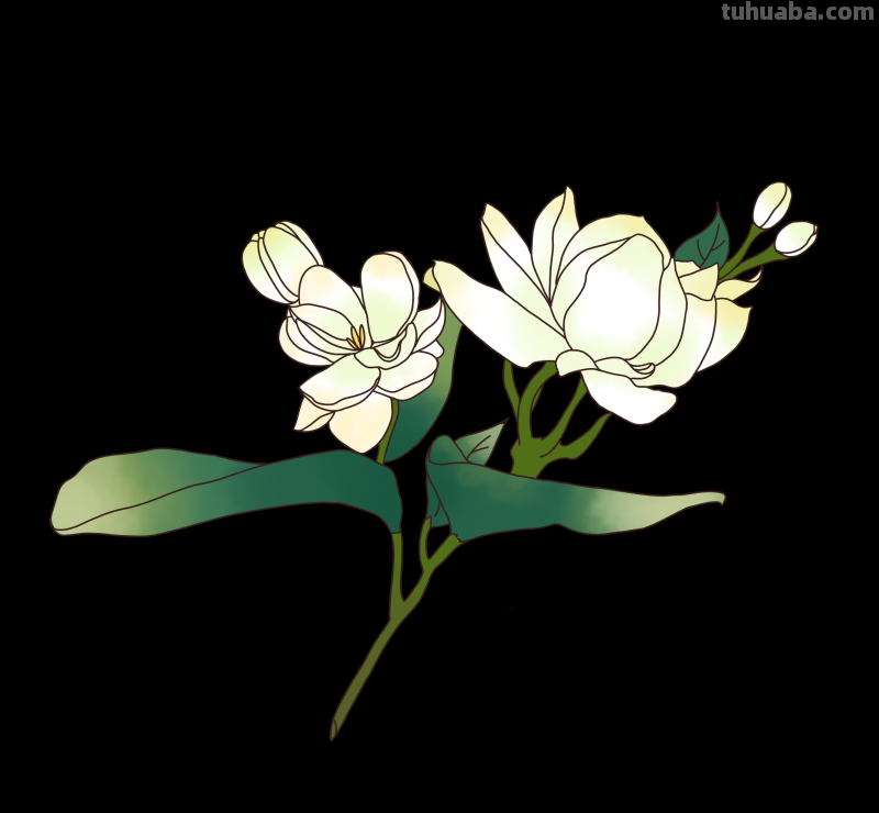 简笔画-春日花卉手绘图，配色超级好看！