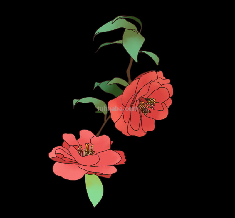 简笔画-春日花卉手绘图，配色超级好看！