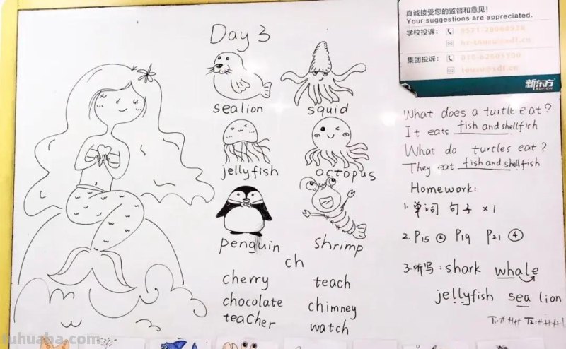 教室里的魔法师？丸子头老师自制教具美哭学生