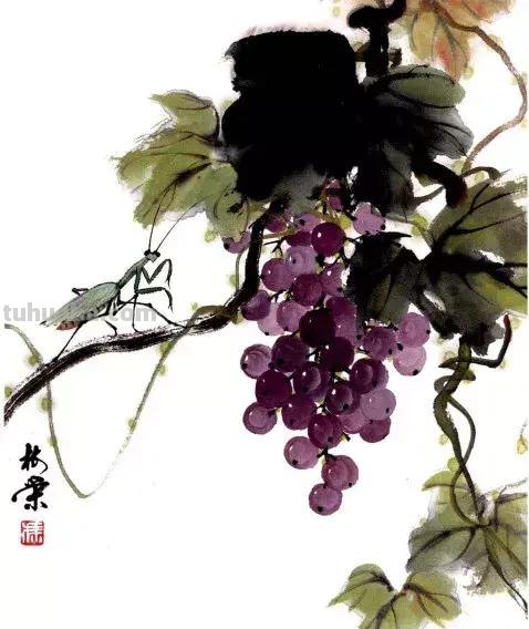 国画，这么漂亮的写意草虫，简单易学