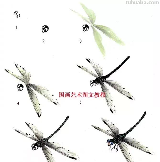 国画，这么漂亮的写意草虫，简单易学