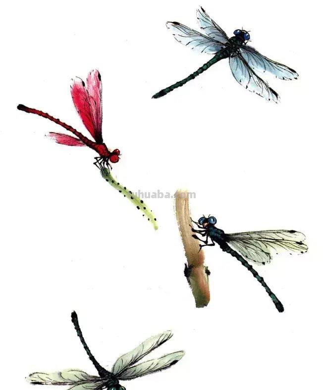 国画，这么漂亮的写意草虫，简单易学