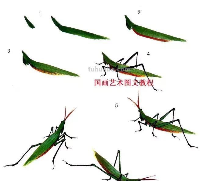 国画，这么漂亮的写意草虫，简单易学