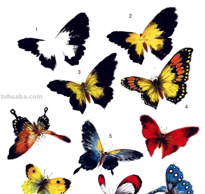 国画，这么漂亮的写意草虫，简单易学