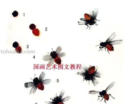 国画，这么漂亮的写意草虫，简单易学