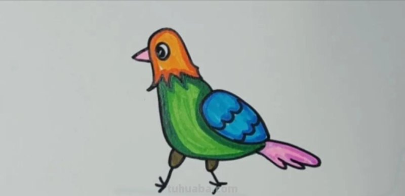 小鸟怎么画才简单又漂亮 儿童动物简笔画大全教程