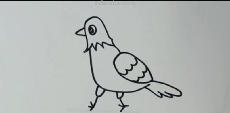 小鸟怎么画才简单又漂亮 儿童动物简笔画大全教程