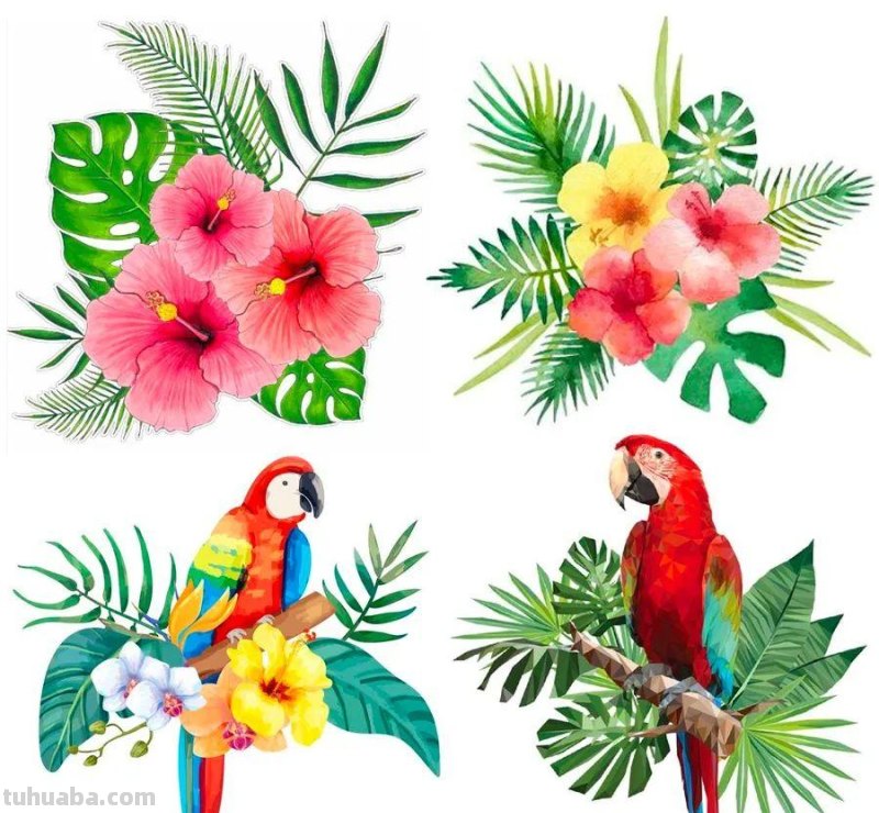 儿童画教程｜自然美学课程《五彩斑斓的鹦鹉》