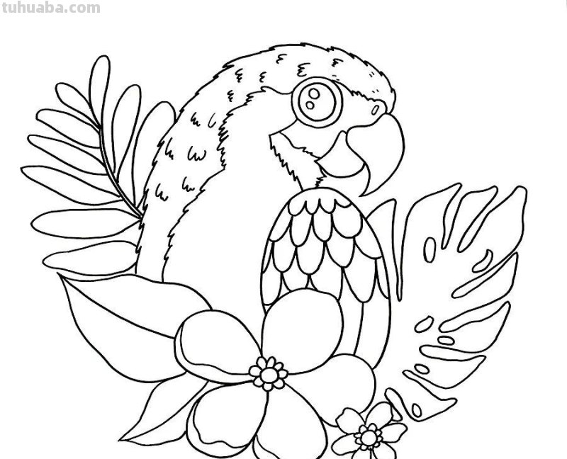 儿童画教程｜自然美学课程《五彩斑斓的鹦鹉》