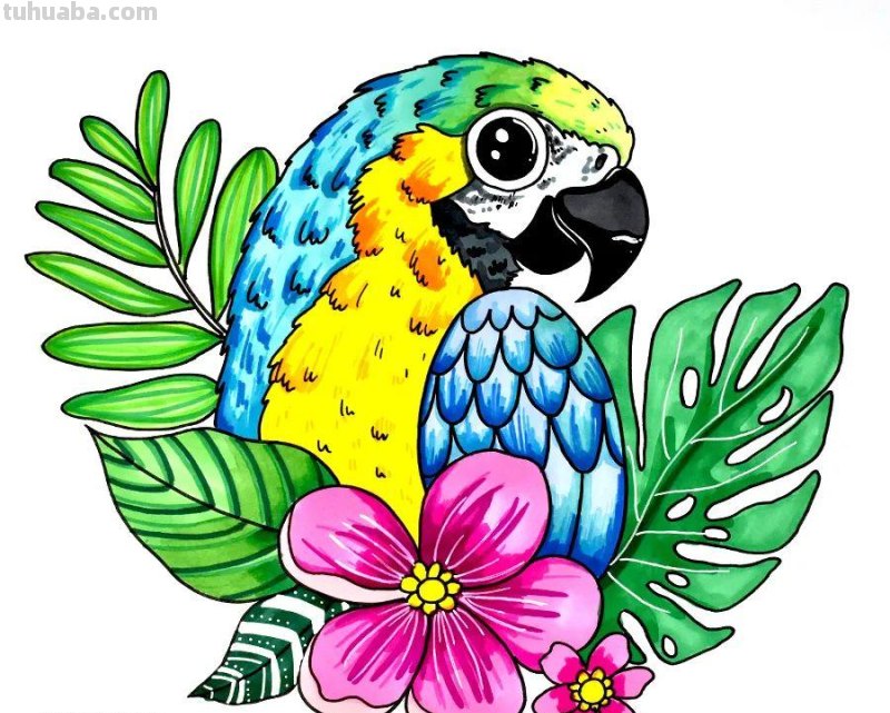 儿童画教程｜自然美学课程《五彩斑斓的鹦鹉》